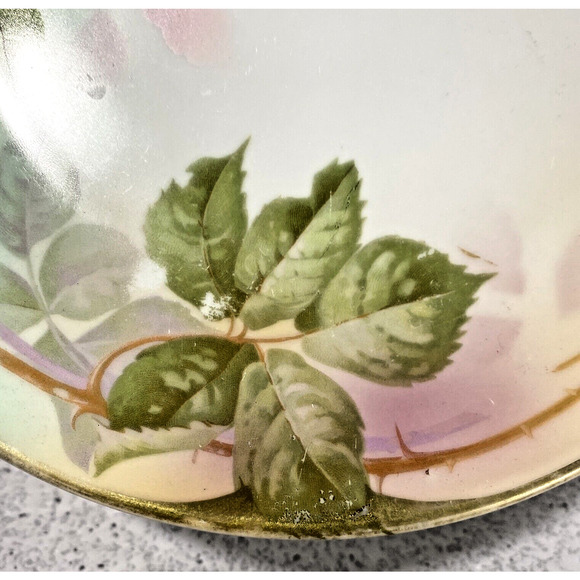 Vintage Royal Rudolstadt Cabinet Plate Prussian Porcelain Floral Hand Painted - Picture 2 of 7